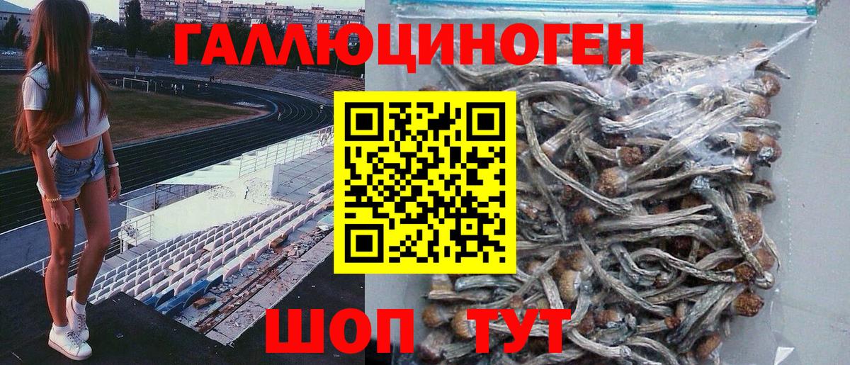 Качканар  Галлюциногенные грибы MAGIC MUSHROOMS  Вход с VPN 
