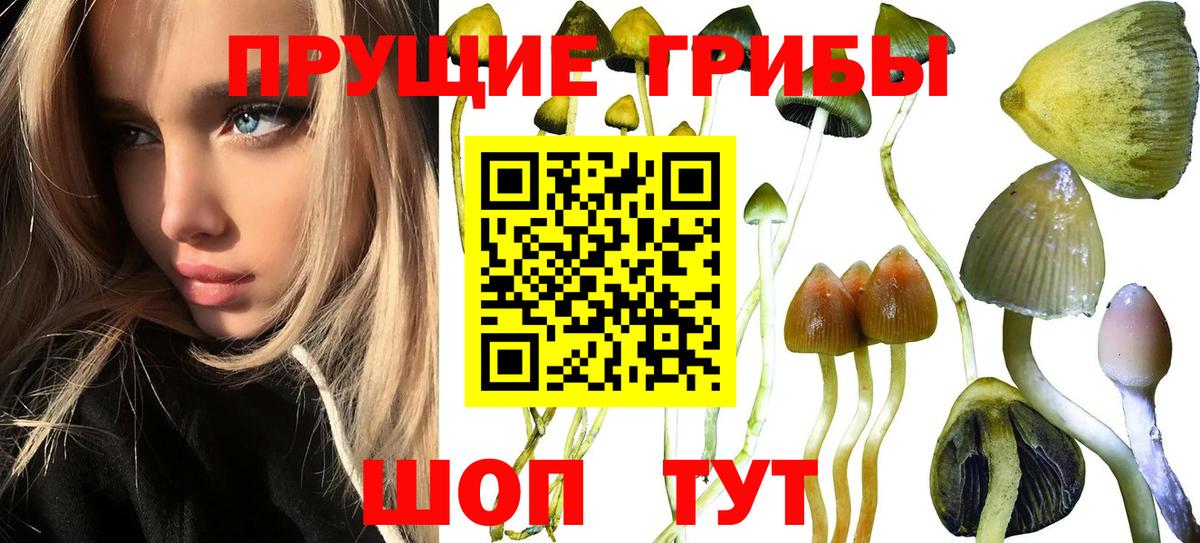 Галлюциногенные грибы Качканар