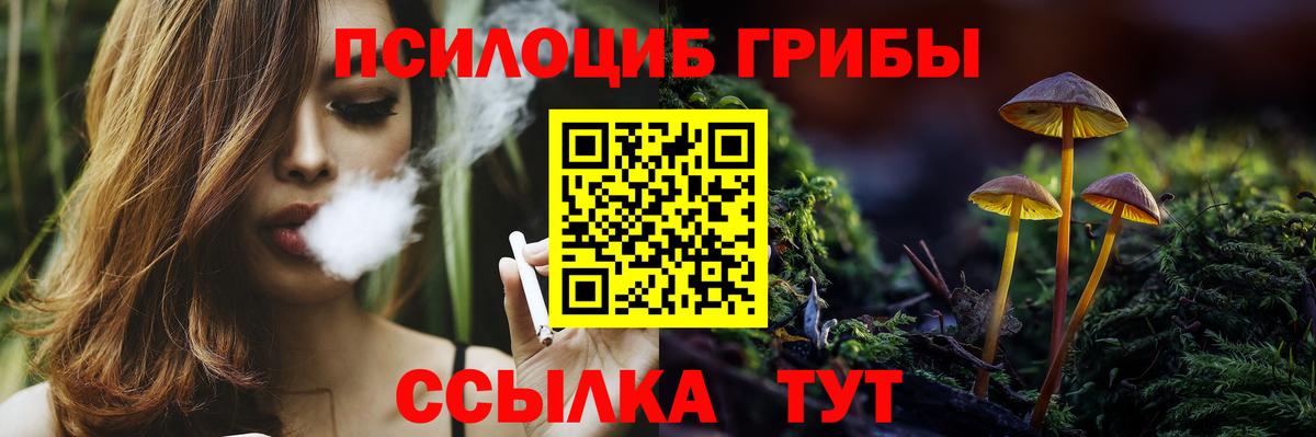 Псилоцибиновые грибы Psilocybe Качканар